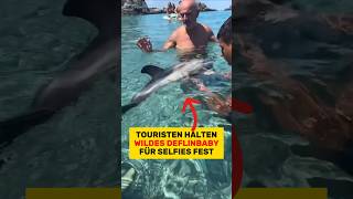 Touristen halten WILDES DELFIN-BABY für Selfie in den Händen?! | RasasWelt | #shorts