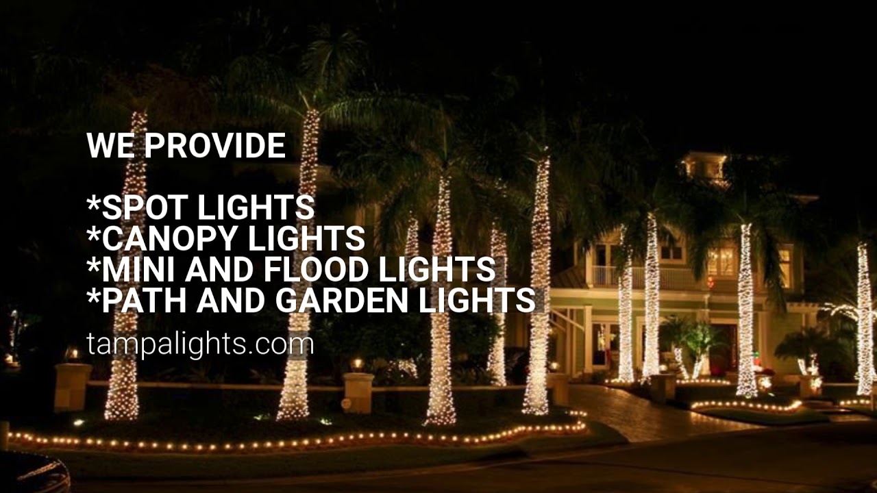 Best Landscape Lighting Installation Company Tampa Lights You Best Landscape Lighting Installation Company Tampa Lights