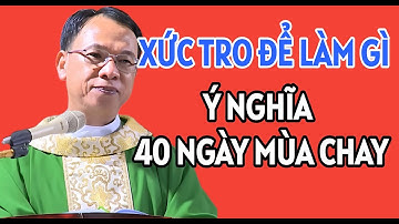 XỨC TRO ĐỂ LÀM GÌ ? Ý NGHĨA ĐÍCH THỰC 40 NGÀY TRONG MÙA CHAY | BÀI GIẢNG CỦA CHA NGUYỄN THẾ THỦ