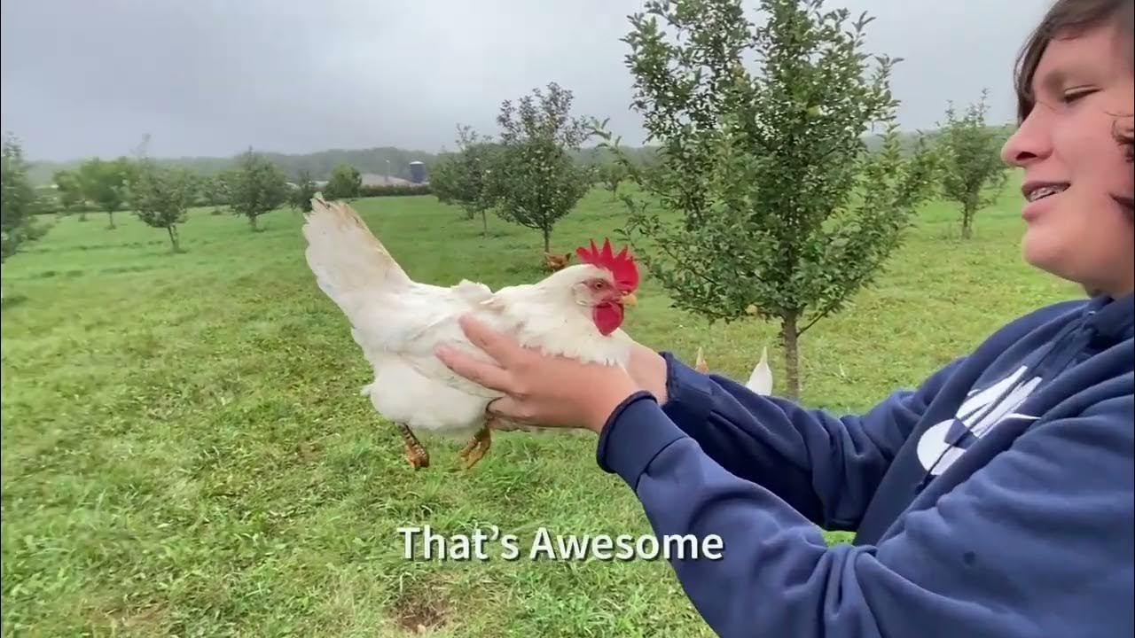 What do you do for a living YouTube