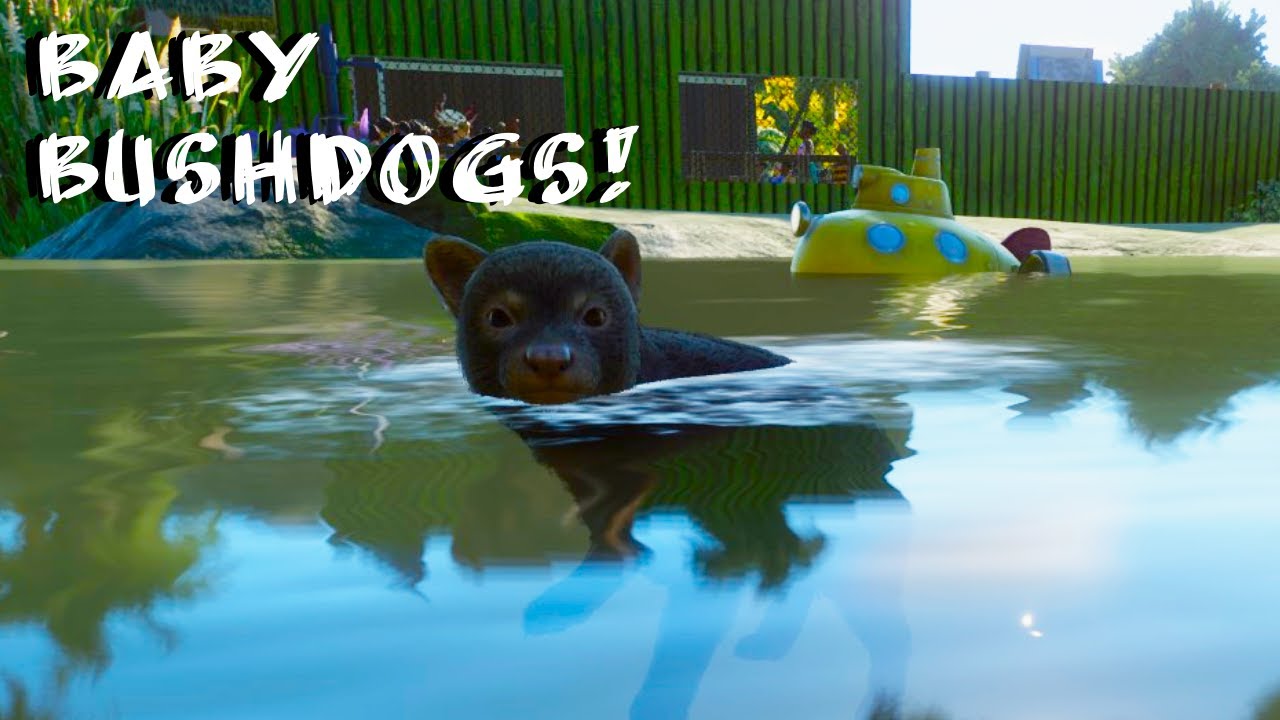 Baby Bush Dogs Have Arrived - Planet Zoo