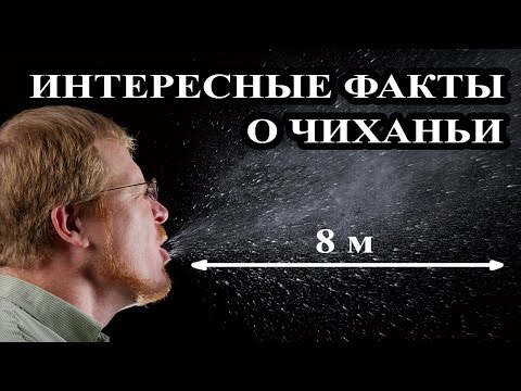 Топ 10 Интересные факты о чиханьи. Причины чиханья