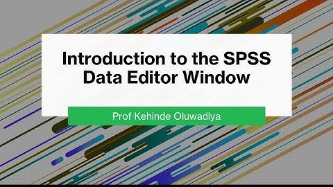 introduction to the SPSS Data Editor Window