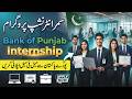 BOPs Summer Internship Program 2026 | Bank Internship 2026 | Latest Punjab Bank Jobs How To Apply