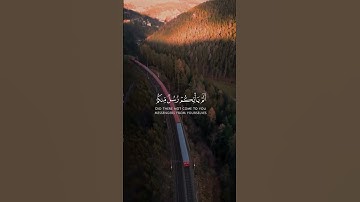 سورة الزمر بتلاوة مؤثرة للقارئ محمد شيحات☘️#قران#قران_كريم#سورة_الزمر#موعظة_دينية#qurantilawat#home