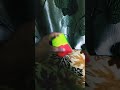 Rubik's cube magic 😀