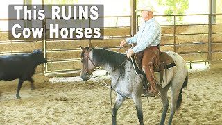 Horse Training  This Ruins Cow Horses & How To Prevent It