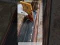 Oddly Satisfying Traditional Instrument Coating 🖌️