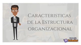 Estructura organizacional | Características