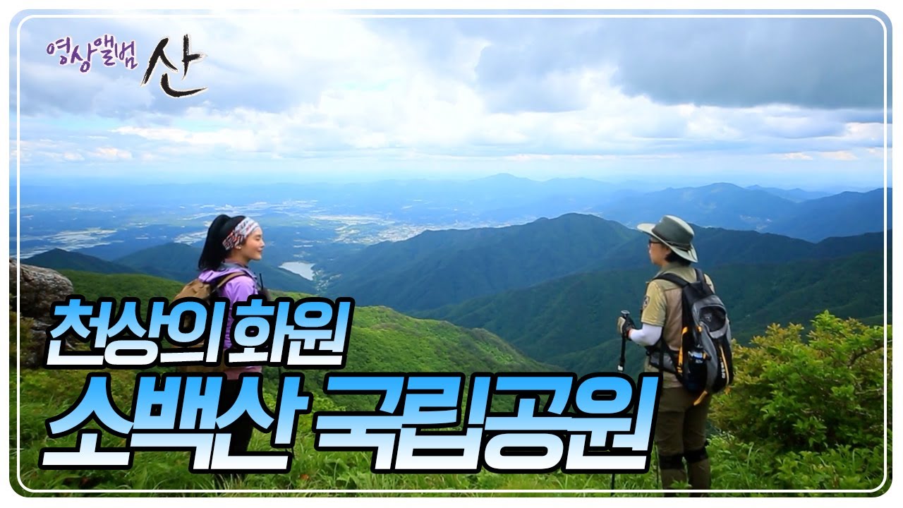 백두대간의 장대함과 신비로움을 간직한 천상의 화원, 소백산국립공원으로 러닝 전도사 안정은 씨가 떠난다 [영상앨범 산] KBS 240609 방송