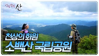 Running evangelist Ahn Jung-eun heads to Sobaeksan National Park, a heavenly flower garden preser...