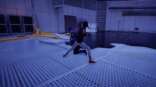 Mirror's Edge Catalyst Third Person Walkthrough-Fly Trap