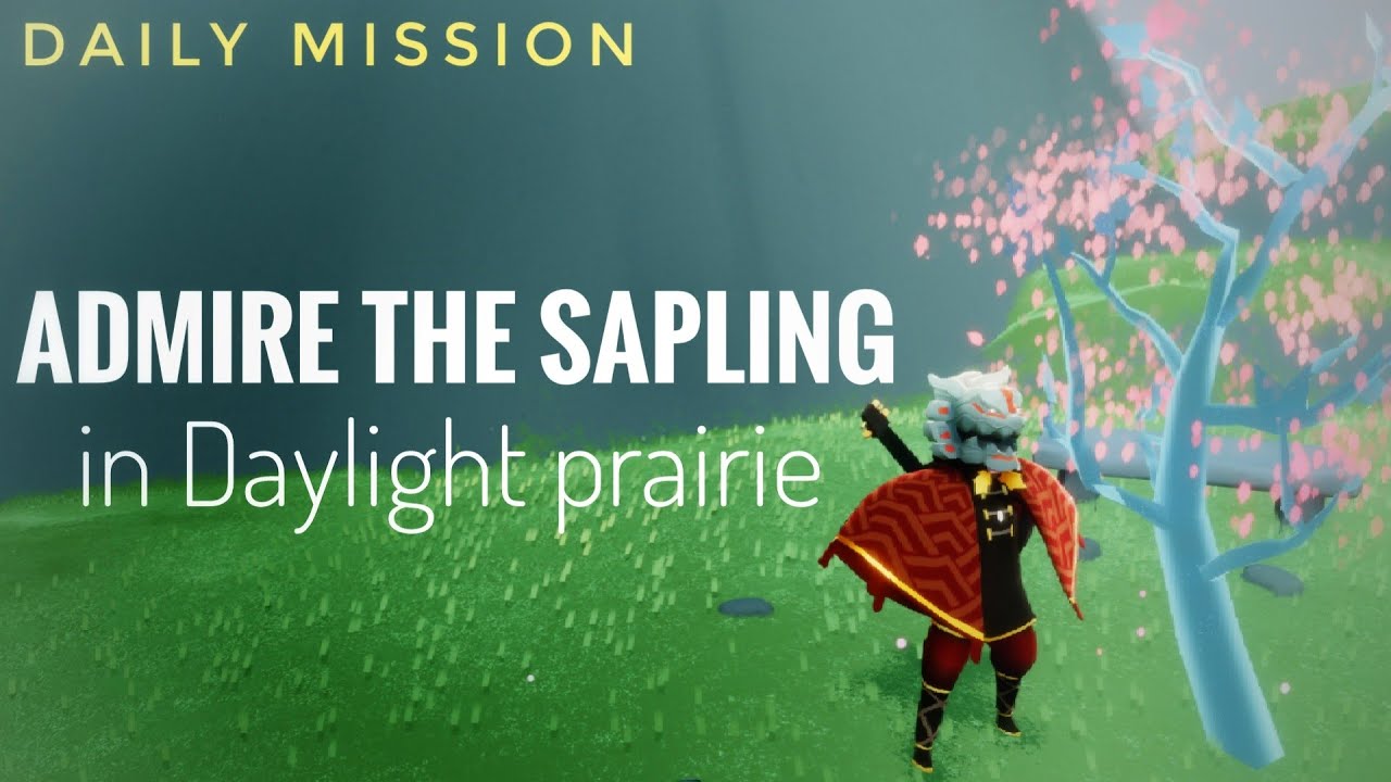 Sky Admire the sapling in Daylight prairie (Daily mission) YouTube