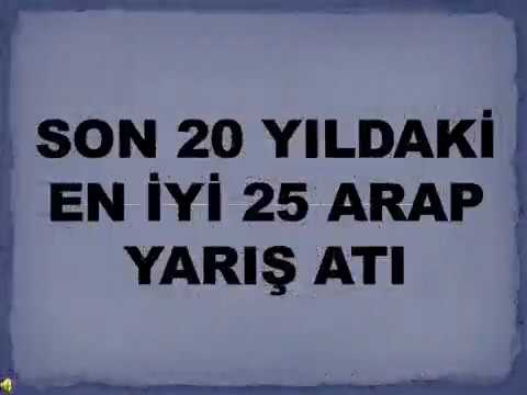 EN İYİ 25 ARAP YARIŞ ATI