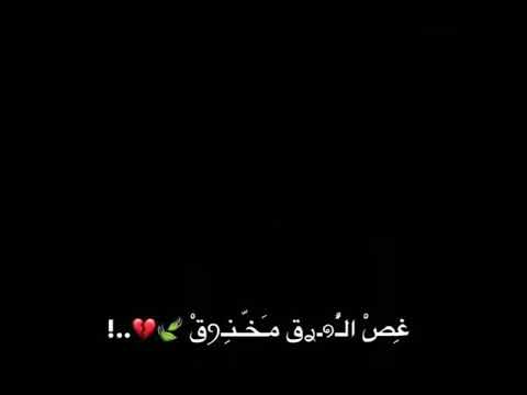 عم اكتب بحبر القلم