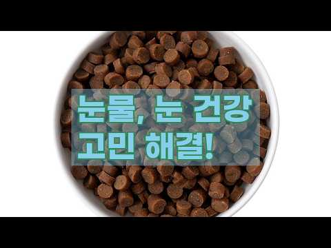 눈물, 눈 건강 고민 끝! 본아페티 플러스 프리미엄 기능성 수제사료