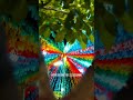 🎉 FESTA JUNINA EM SÃO PAULO COM ENTRADA GRATUITA! 🌽🔥