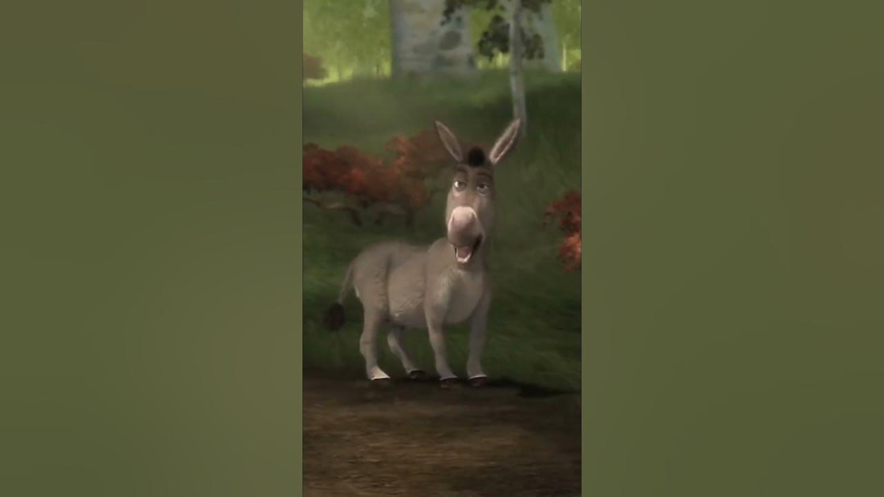 Color blind Donkey's Hilarious Quest for a Blue Flower with Red Thorns