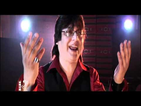 Mushukning yaqin plandagi video surati Mushukning yaqin plandagi video surati