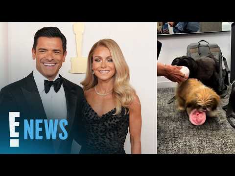 Kelly Ripa, Mark Consuelos Adopt "New Baby" After Dog Chewie’s Death | E! News
