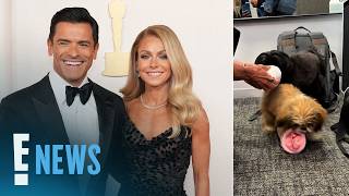 Details Kelly Ripa, Mark Consuelos Adopt New Baby After Dog Chewie’s Death | E! News News