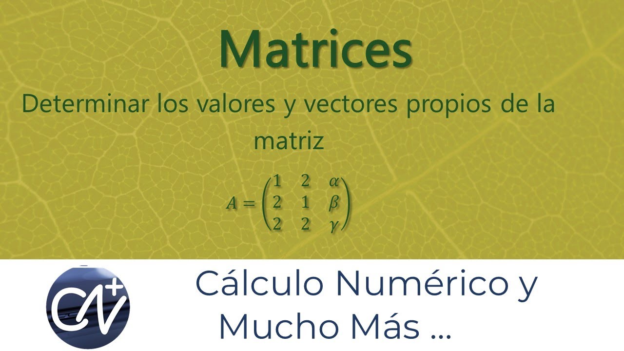 Valores y vectores propios de una matriz en la que algunos de sus