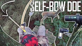 DOE WITH A SELFBOW IN DENMARK  | Traditional Archery & Bowhunting | The Push Archery by The Push Archery 2,308 views 1 month ago 7 minutes, 24 seconds