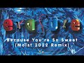 Erasure - Because You&#39;re So Sweet (Moist 2022 Remix)