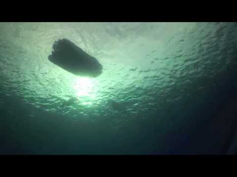 Spearfishing with Harold in Fakarava silver waters...