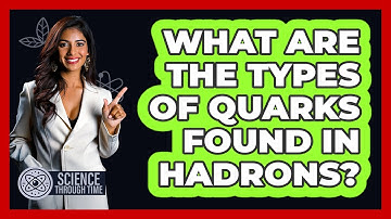 What Are the Types of Quarks Found in Hadrons?