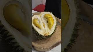 Durian blackthorn dari kepulauan riau gaesss #durian #durianviral