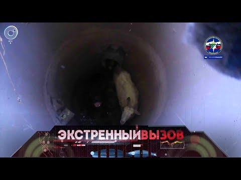Экстренный вызов: 03 августа 2018