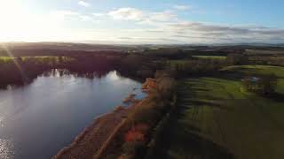 The Hirsel Estate,  Coldstream.  Scottish Borders