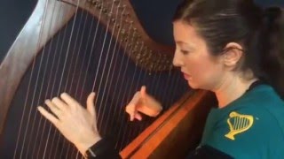 Free online harp lesson: "Wishing": Harp 2: Section B: Performance Instructions