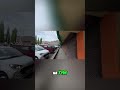 Buddyzm a mięso: Czy mnisi jedzą zwierzęta? #shorts