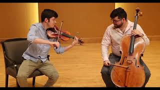 ¿Cuál es la diferencia entre el violín y el violonchelo?