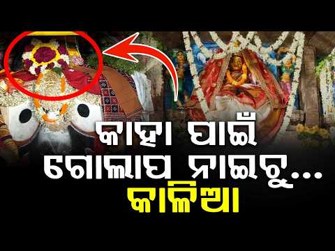 କାହା ପାଇଁ ଗୋଲାପ ନାଇଚୁ...କାଳିଆ | Niladri Bije 2026 | Jay Jagannath | Maa Laxmi | Argus News
