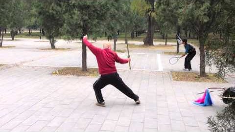 Cheng BaGuaZhang Jian with Ni Shrfu