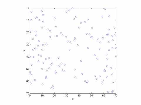 Simulation of particles settling in a dense gas