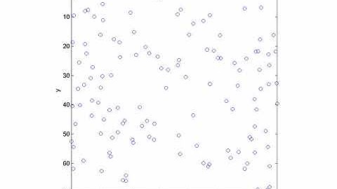 Simulation of particles settling in a dense gas
