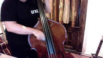 Pirastro EVAH PIRAZZI WEICH Bass Strings DEMO