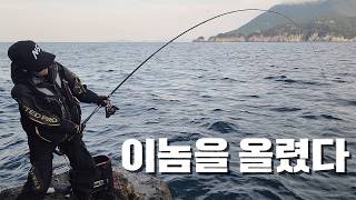 작은 체구의 여자가 올린 대물!