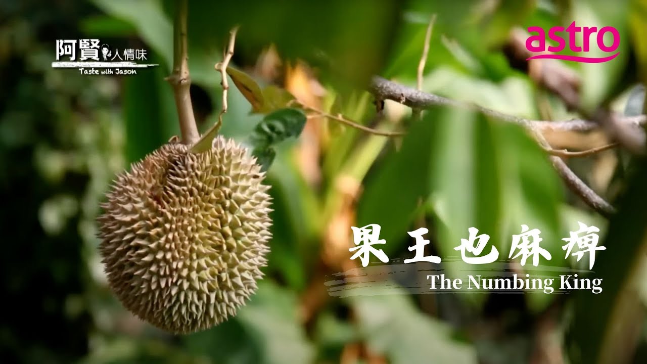 原来吃榴莲那么讲究！教你如何成为榴莲达人｜阿贤人情味 Taste with Jason (2012) S8 EP3