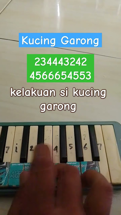 not pianika kucing garong #shorts