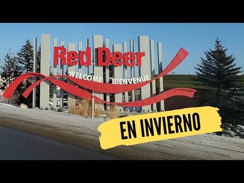 Video: ¿Cuál es más grande, Lethbridge o Red Deer?