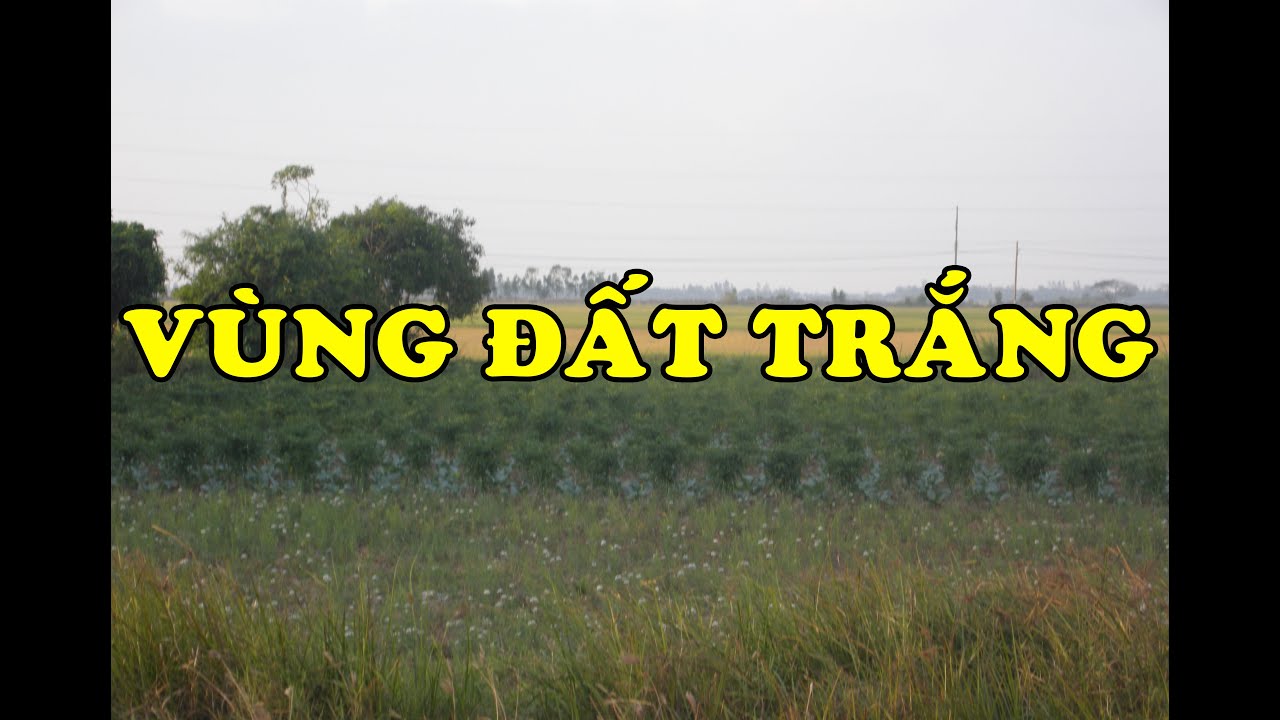 Hồi Ký Miền Nam | Vùng Đất Trắng