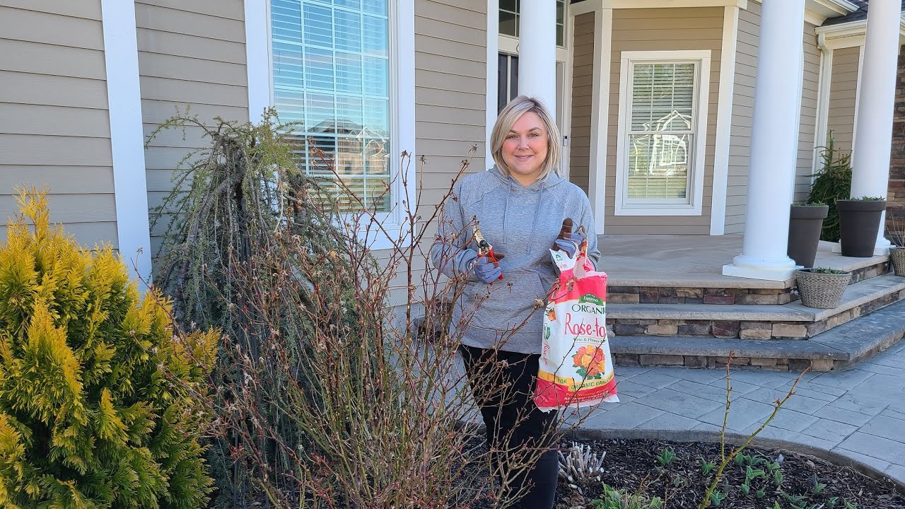 Pruning Roses and Panicle Hydrangeas. Applying Rose Tone Fertilizer