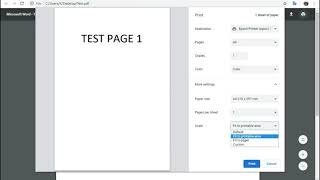 Online Print Process e-printer screenshot 4