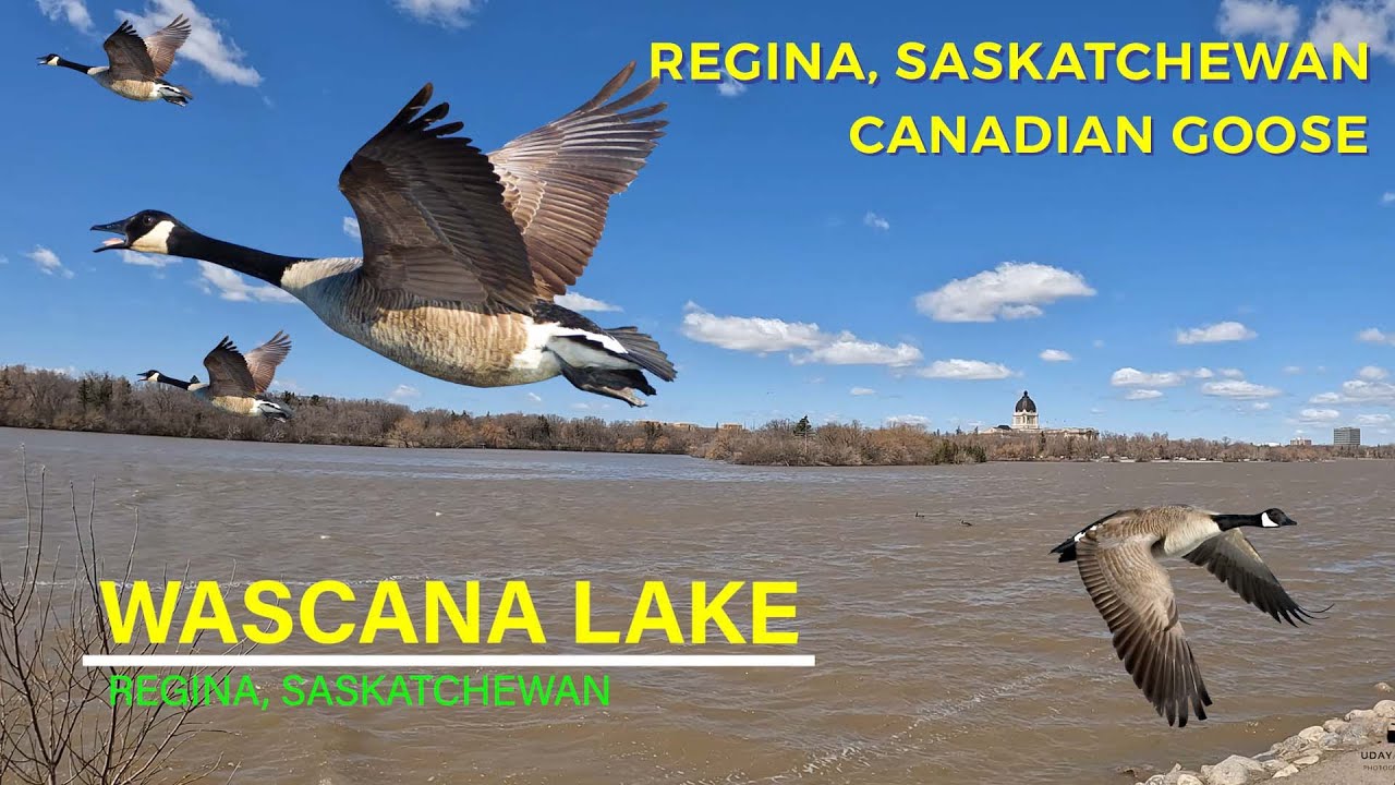 Wascana Lake - Regina, Saskatchewan