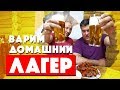 Домашнее пиво ЛАГЕР. Раки в казане.